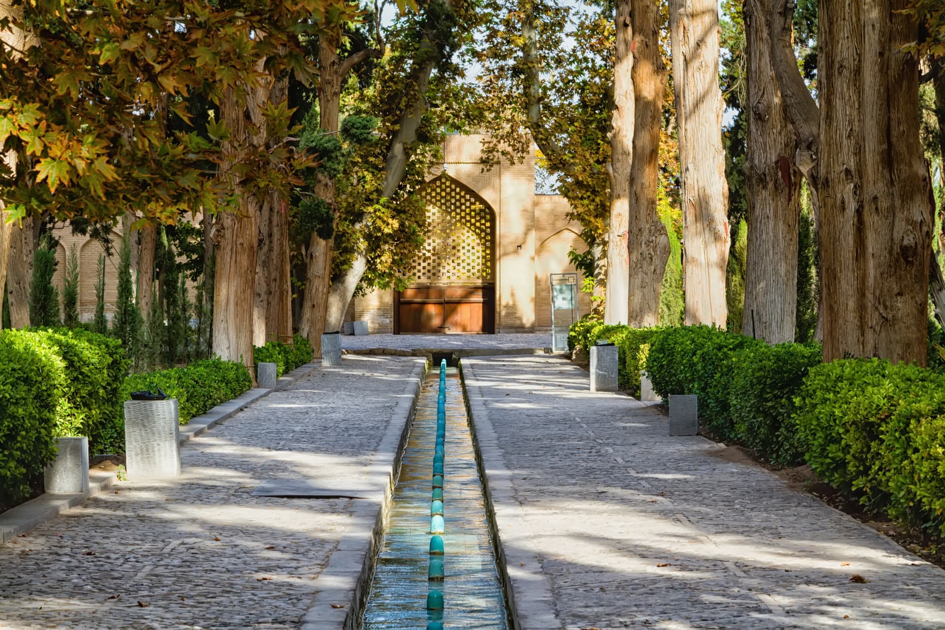 Fin Garden